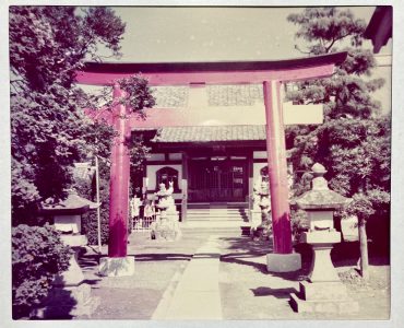 昭和50年前後の稲荷社殿で、大鳥居はおそらく建てたばかりの頃。今は無い左右の植え込みや松の大木、露わになっている土面が目立つ。瓦屋根や窓も古い。