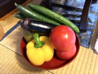 故人が好まれていた食べ物でも結構です。その他たくさんのお供物をご用意ください。